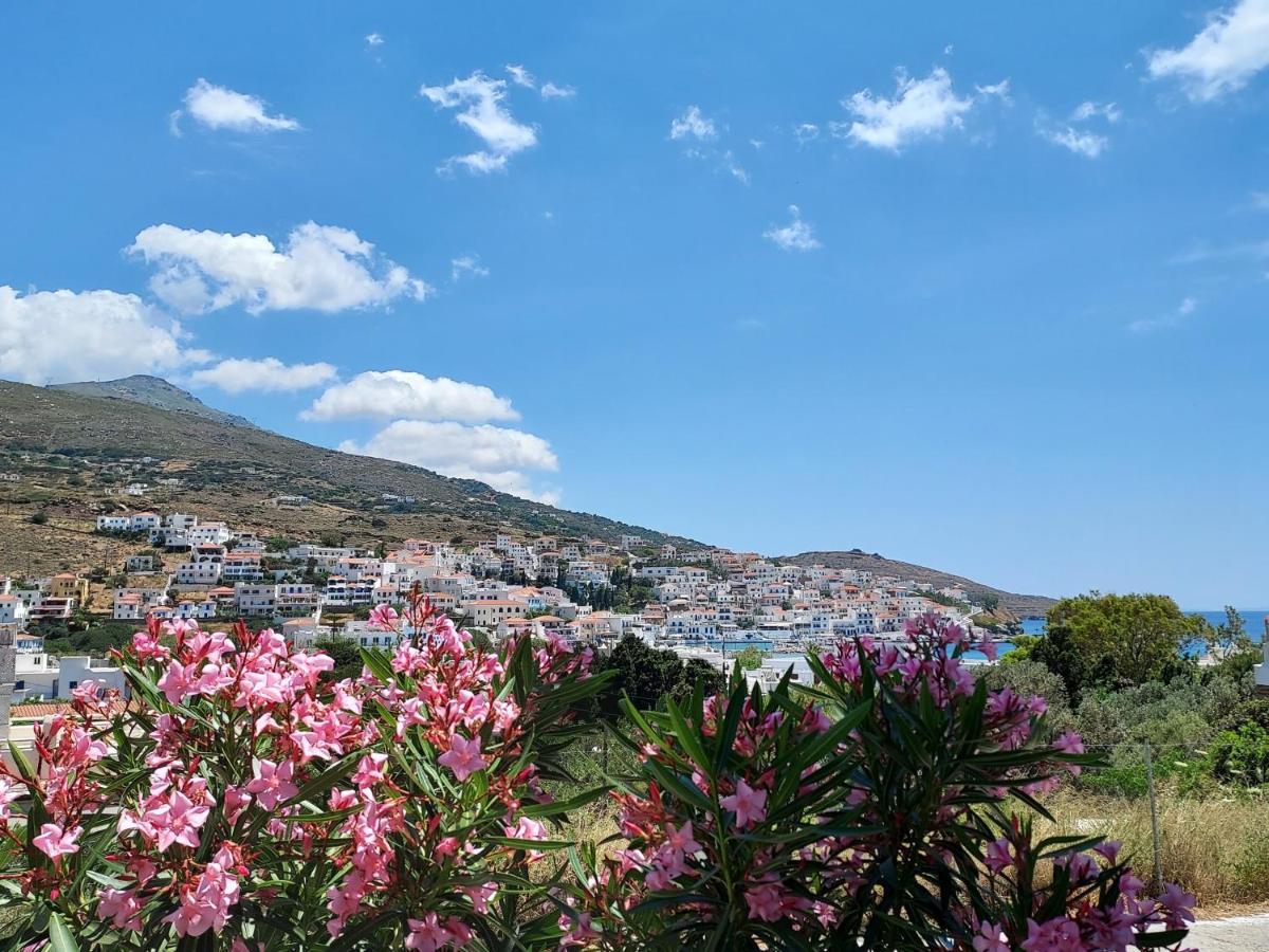 באטסי Villa Arni Andros - Βίλα Αρνη מראה חיצוני תמונה